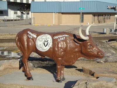 town pictures being installed now